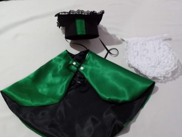 Fantasia Formatura para cães e gatos