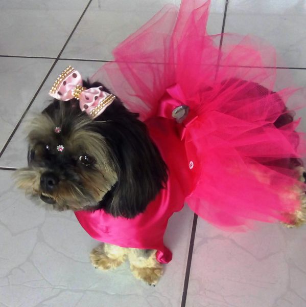 .Vestido Festa Pink para cães e gatos Tamanhos do 00 ao 8