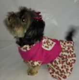 Vestido Lili inverno para cachorros e gatos