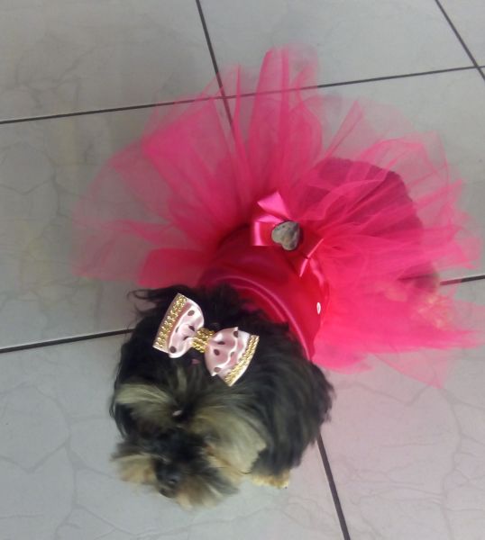.Vestido Festa Pink para cães e gatos Tamanhos do 00 ao 8