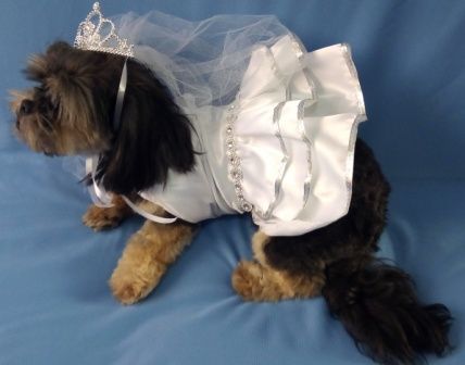 .Vestido Daminha para cachorros e gatos