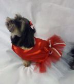 Vestido Natal Tule e Touca para cães e gatos