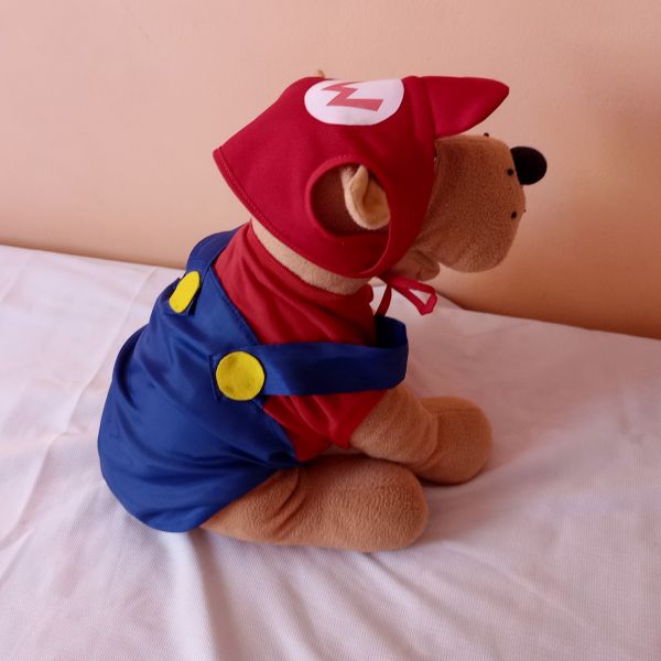 .Fantasia Mario para cães e gatos