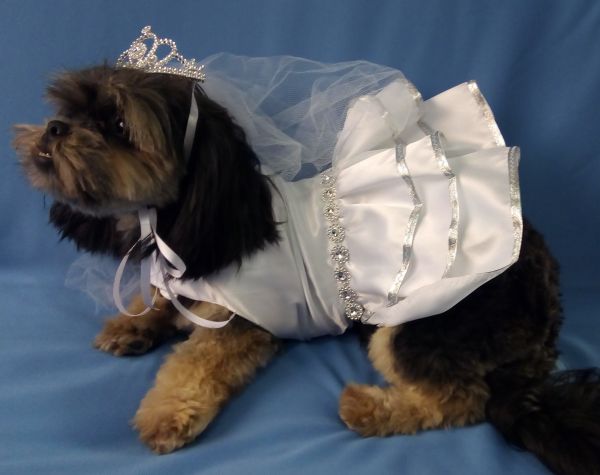 .Roupa Daminha de Casamento para cães e gatos