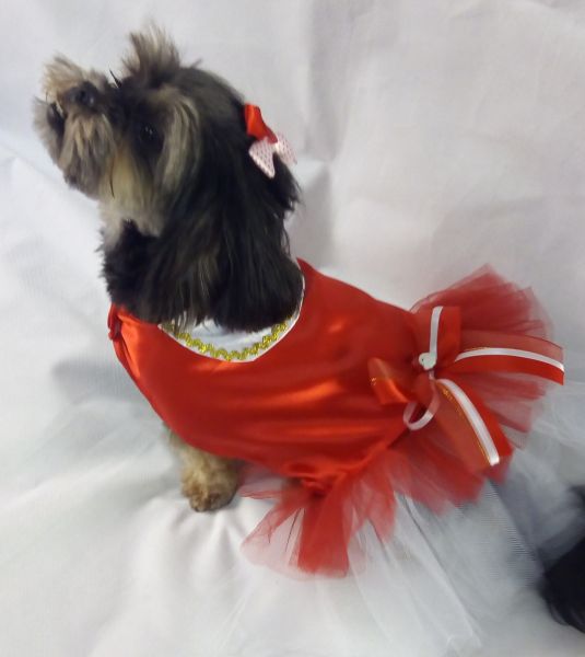 Vestido Natal Tule e Touca para cães e gatos