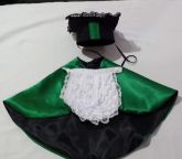 Fantasia Formatura para cães e gatos