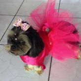 .Vestido Festa Pink para cães e gatos Tamanhos do 00 ao 8